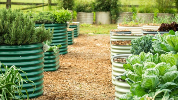 How Greenhouse Kits Are Empowering Gardeners and Growing Communities